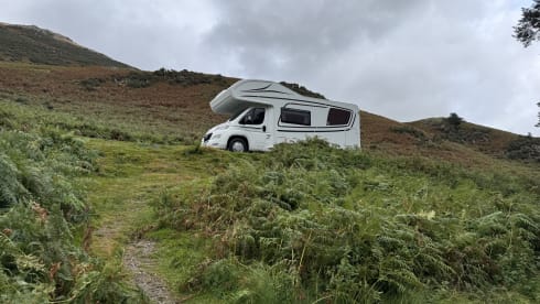 INDIVIDUALL – 6 berth Fiat alcove from 2020