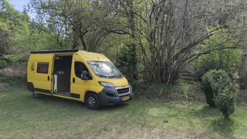 De Kanarie 🌞  – Gezellige gele camperbus (off-grid!) 