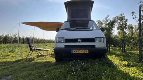 Betty – GoBetty: 2p Volkswagen campervan LWB