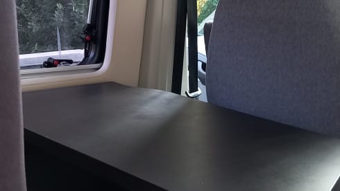 Petunia – The freedom to live in all the wonderful places.