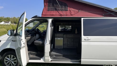 Bob  – Beautiful 4 berth Volkswagen camper van 2016 (2 adults & 2 children)