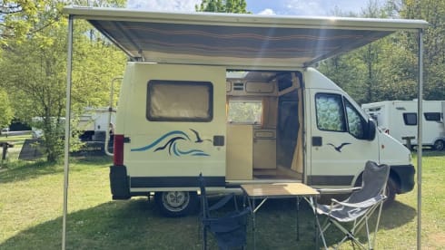 Safari  – 2p Fiat bus uit 2004