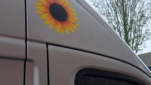 SunnieSunliving – 2-person Fiat Ducato bus from 2017