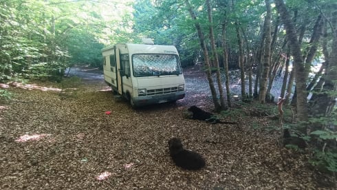 RINO – ARCA FRECCIA LINE 99, Turbo Diesel power steering