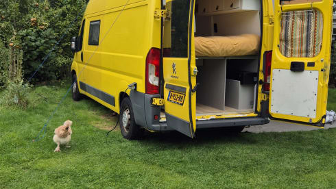 De Gele Rakker – Peugeot-Bus mit 2 Sitzen aus dem Jahr 2015