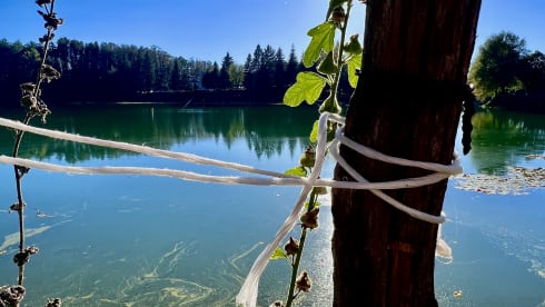 Vulamdander Extreme Adventure  – Mercedes Sprintrer Van Adventure