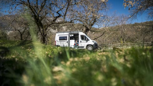 Baymax – Camper van 