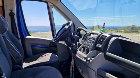 Palmtree – Spaceious Citroën Jumper