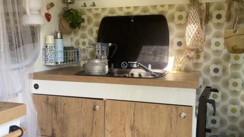 Haast kan de klere krijgen – Fiat bus camper for 2 people
