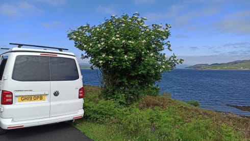Quicksilver  – White VW T6 Four Berth.