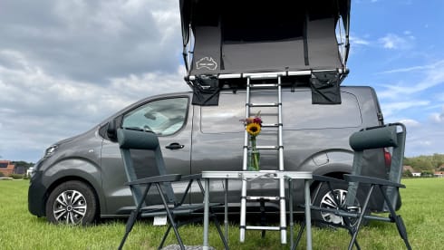 2p Peugeot rooftop from 2019