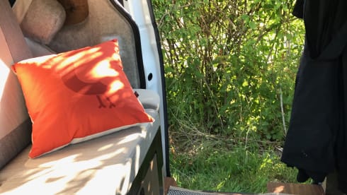 Daisy – Sustainable camping with a cute electric Volkswagen van