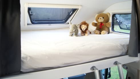 FreeLiving – AUTOMATIC with level system, extra long beds. ALSO WINTER