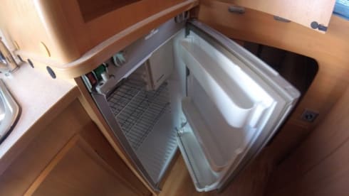 TheTripTherapy – If you can dream it you can do it.