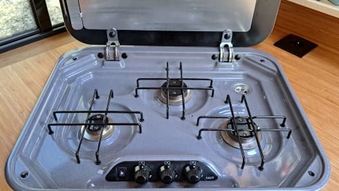 2p Fiat bus from 2020