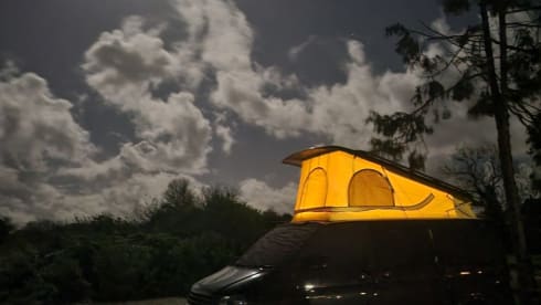 MIDNIGHT – MIDNIGHT our 4 berth Volkswagen campervan with a poptop