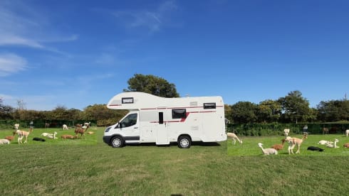 Hurricance – 6-persoons Roller Team halfintegraal uit 2021