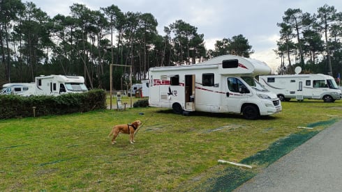 Beest – Rimor Seal 9 Alkloof (2017) – Perfect for a Family Holiday!