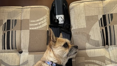 Gladdis – 4 berth Peugeot Elddis Sunseeker 100 from 2010