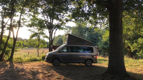 4p Volkswagen campervan uit 2019