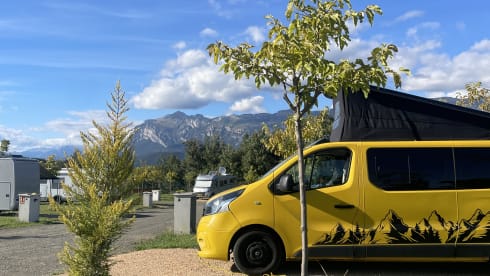 Arie – 4-Sitzer Renault Wohnmobil aus dem Jahr 2017