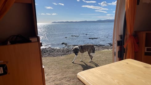 Claudio – ADRIA VAN per viaggiare in libertà