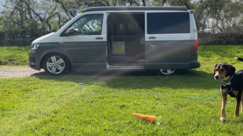 Ivy – Pet friendly VW campervan - MK13 Milton Keynes