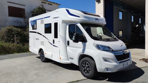 MC4 - 239 – MCLOUIS MC4 331