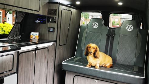 Vinny  – Vinny The VW Campervan