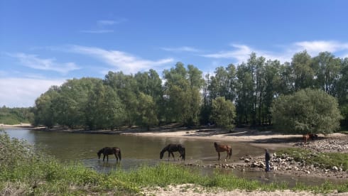 Soulmate – 1p Peugeot bus uit 2010