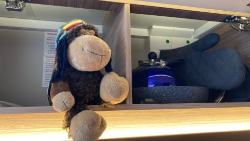 Whinni – Einsteigen, los fahren .... Urlaub!