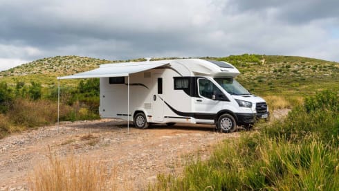 "Buck" – Benimar T 463 up