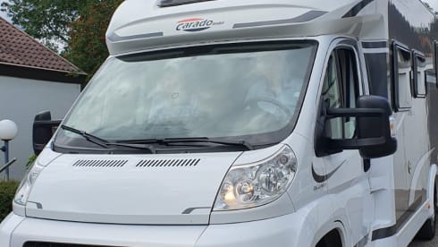 LEOBO – Carado T447