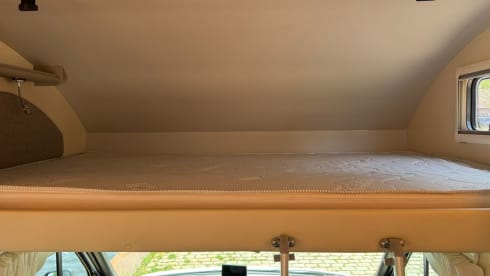 5p Maple alcove from 2022