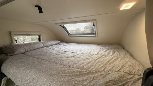 Forest – 6 berth Roller Team  675 Auto