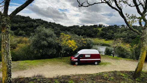 Combi Volkswagen 2 places de 1991