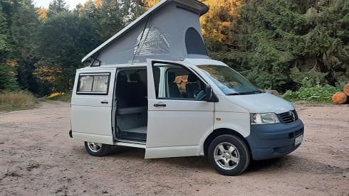 Wilde Hilde – Wild Hilde