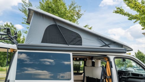 NEW Exclusive VW Bus Camper