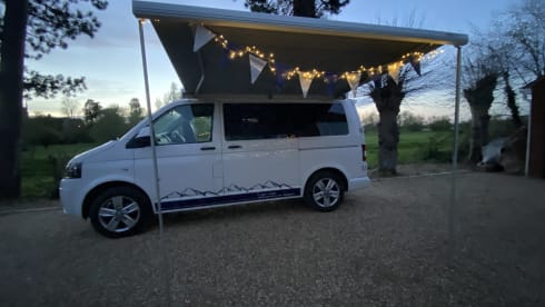 Hector – T5 VW (2012), White Pop-Top (SWB)