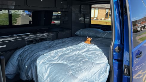 Fergus – Fergus the Campervan