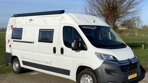 Bussie – Beautiful Adventure bus (2P), completely NEW equipped, also for tall people!
