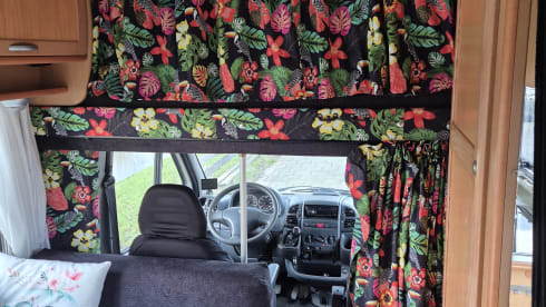 Family Camper 6p Fiat alcove