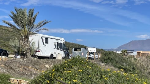 Rapido – Modern 4p Rapido 696F premium edition
