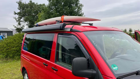 Red Volkswagen bus California T5