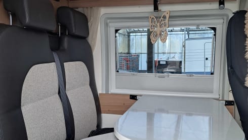 SunnieSunliving – 2-person Fiat Ducato bus from 2017