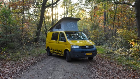 Bert – 4p Volkswagen campervan 