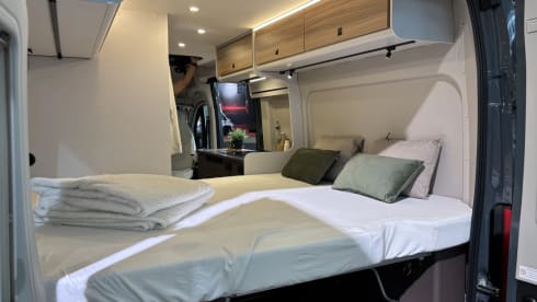 Bürstner – 4p Bürstner bus uit 2026