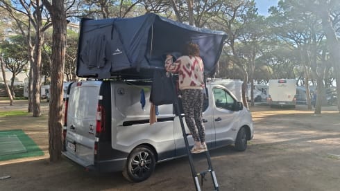 Snelle Jelle – 4p Fiat busje uit 2016