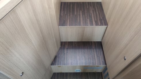 MC4 - 239 – MCLOUIS MC4 331