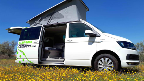 "CARMELA" VW T6 CALI BEACH CAMPER – Flamenco Campers, Rent a camper, explore Andalusia.